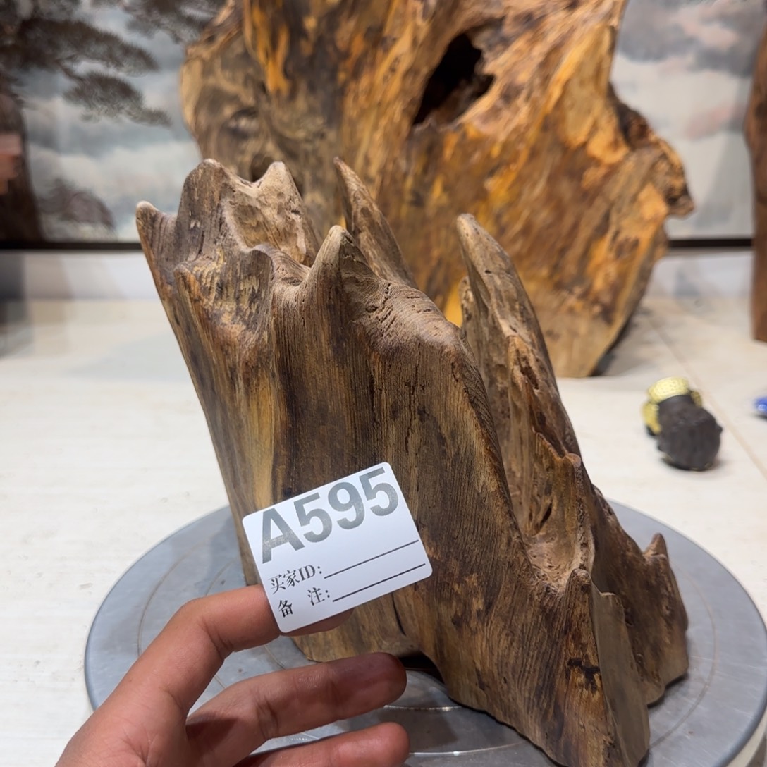 淡***初木哦哦哦哦哦哦哦哦哦哦178