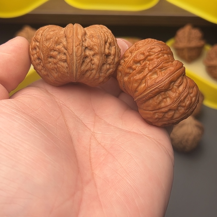 47尺精配矮桩收藏级元宝