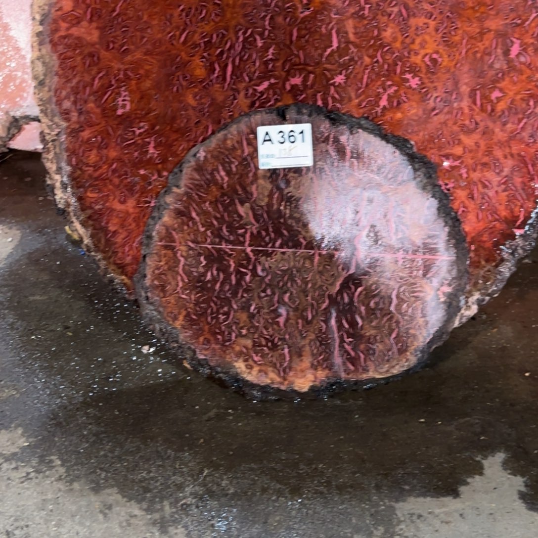 木***风花梨木类花梨木361