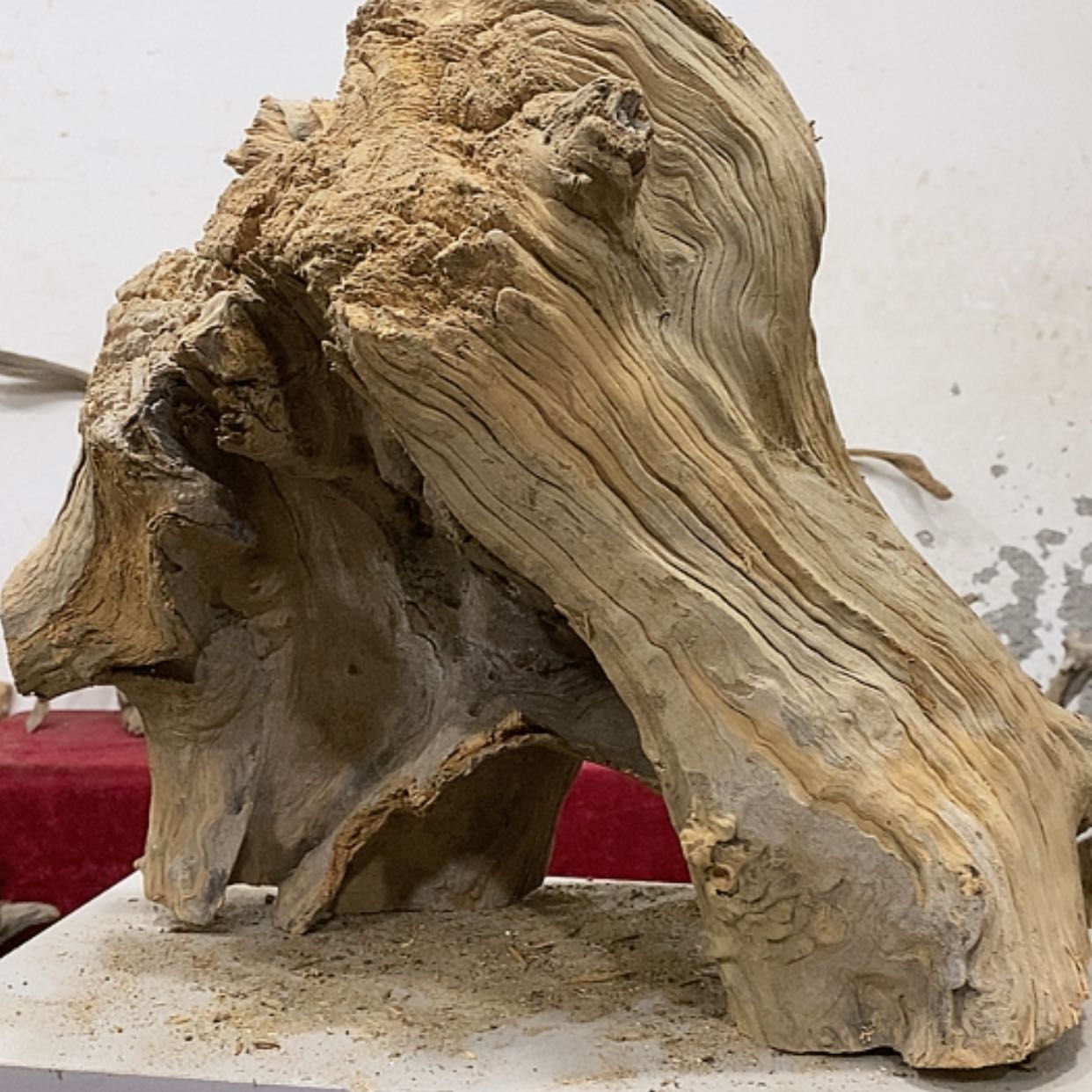 【闪购商品】柏木展****）我们都是好孩子