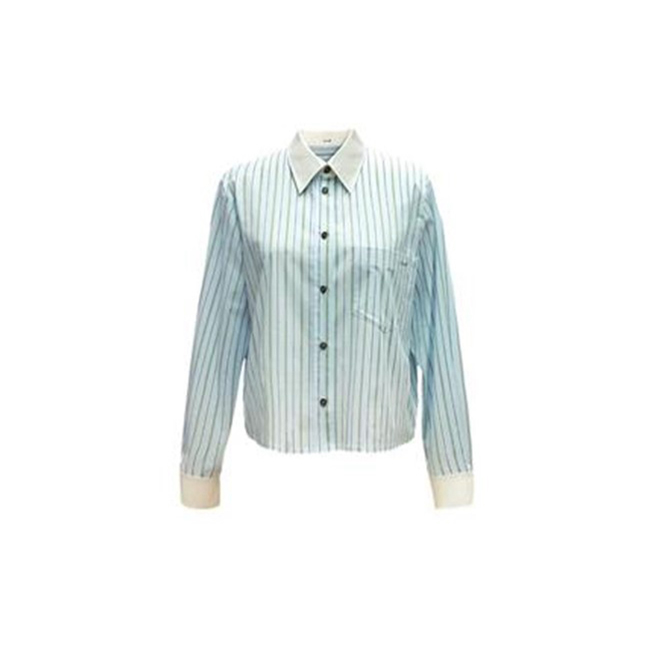 FALEMIG-L系条纹长袖衬衫上衣C04400