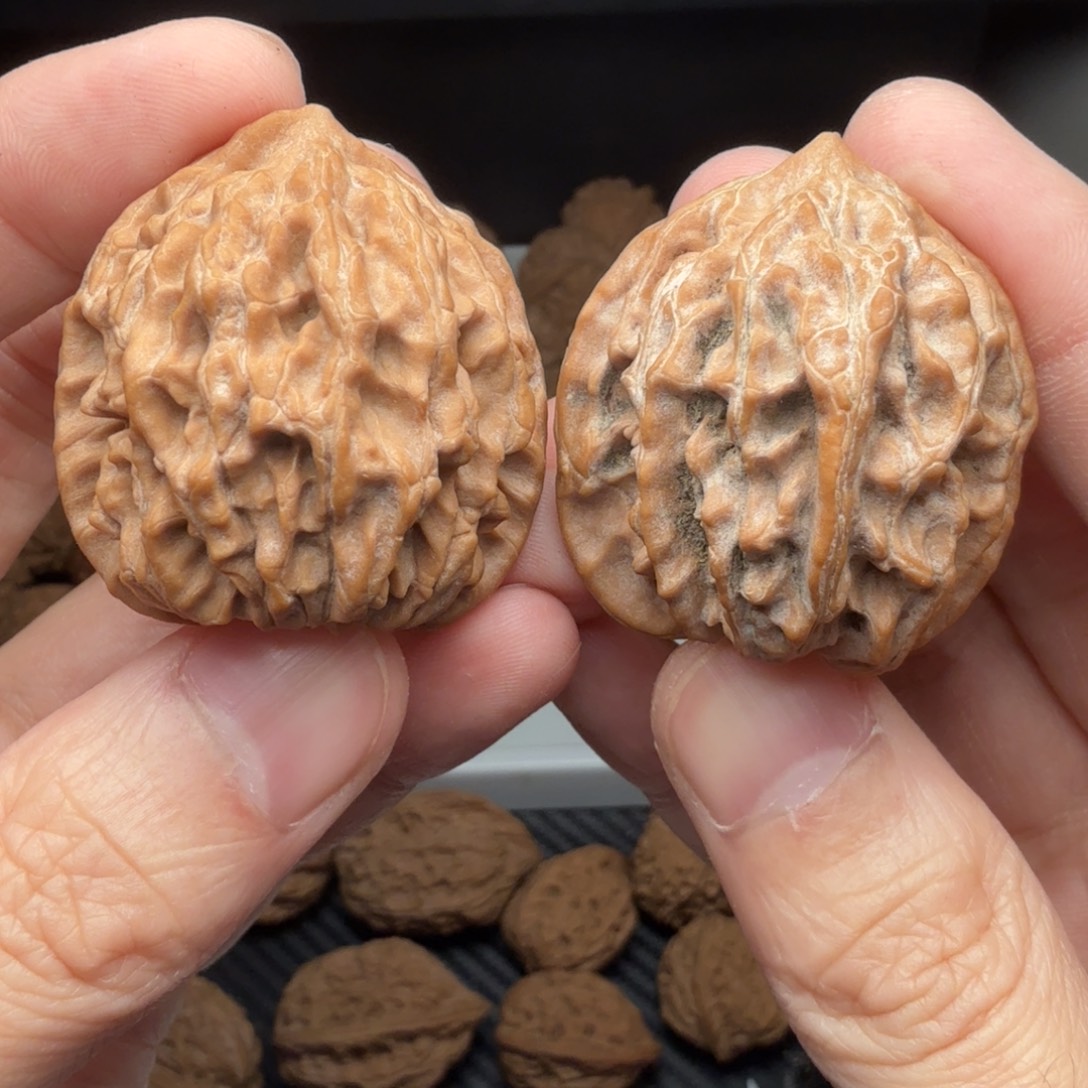 把件文玩核桃野生凹底狮子头边36