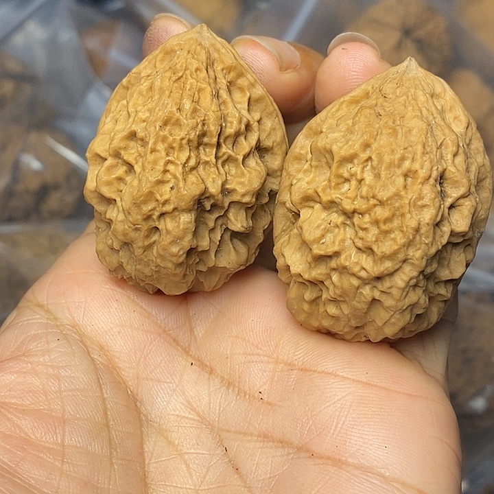 把件文玩核桃云南铁核桃59