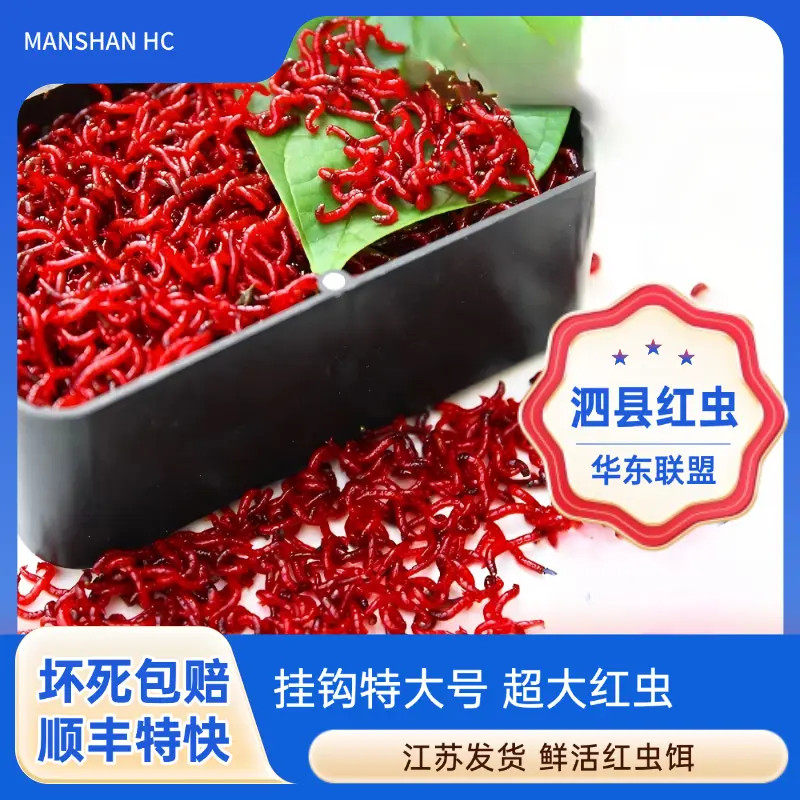 【挂钩特大号】顺丰快递/全国2天到/死虫包赔-1