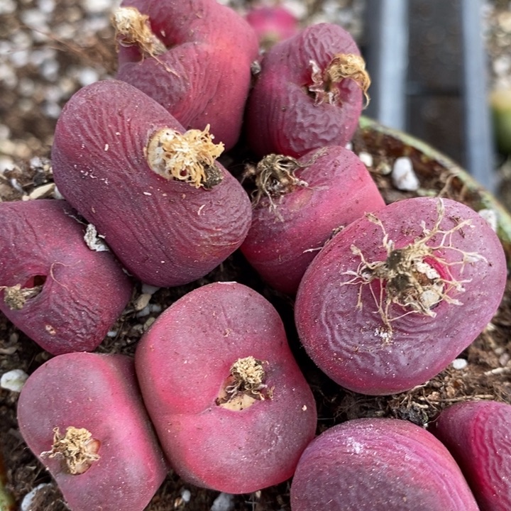 281有伤一组一组