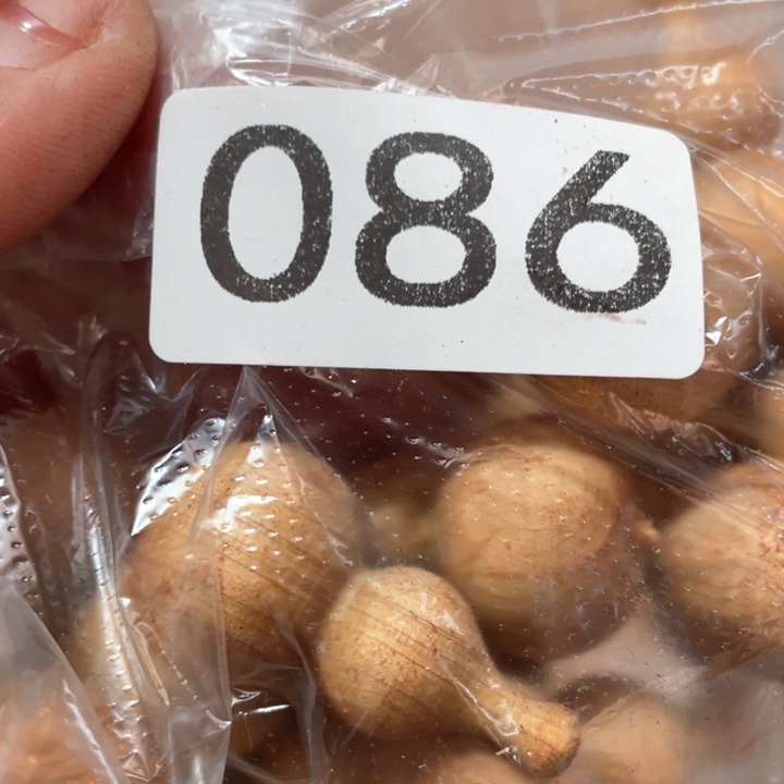 非洲紫檀（红花梨）大***头