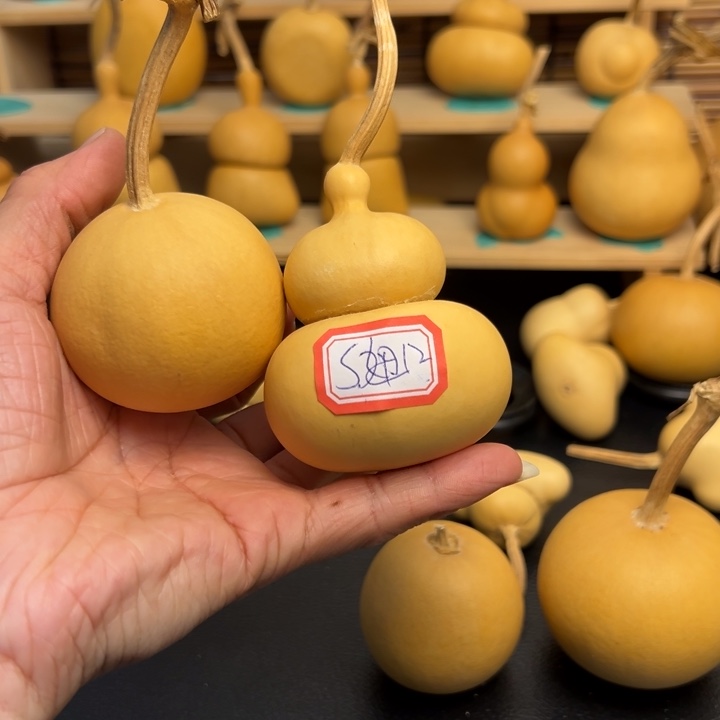 S**?葫芦葫芦葫芦葫芦葫芦葫芦