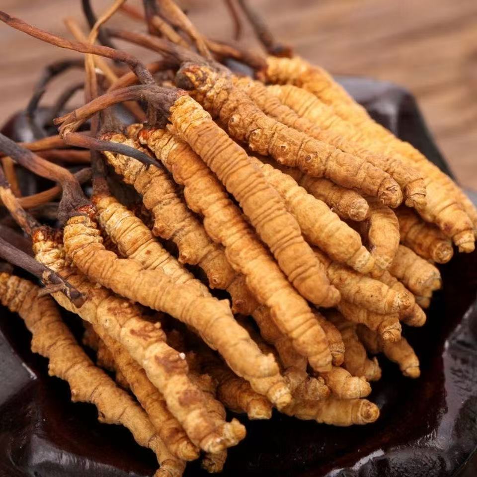 干货正宗冬虫夏草礼盒虫草滋补养生非那曲玉树冬虫夏草