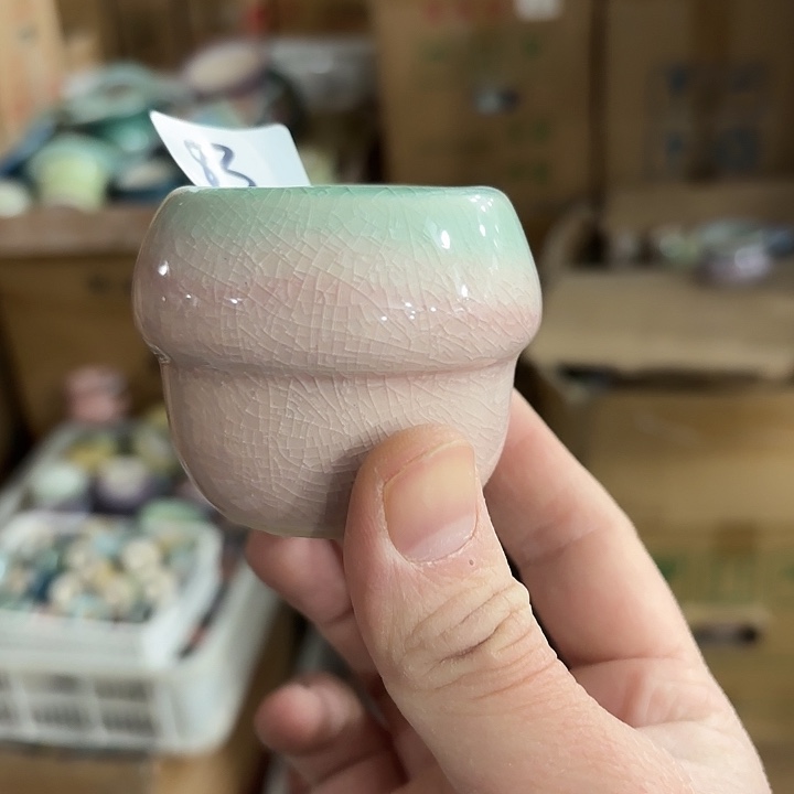 红陶发6个，深浅搭配