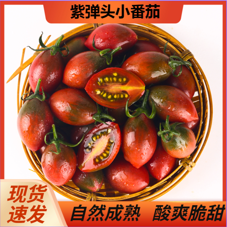 自然成熟紫弹头迷彩小番茄新鲜圣女果紫葡萄番茄当季水果现摘包邮