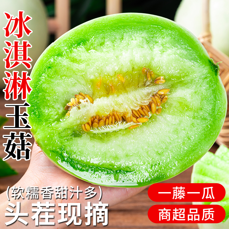 山东玉菇冰淇淋甜瓜软糯当季新鲜网红水果头茬大果白蜜甜哈密香瓜
