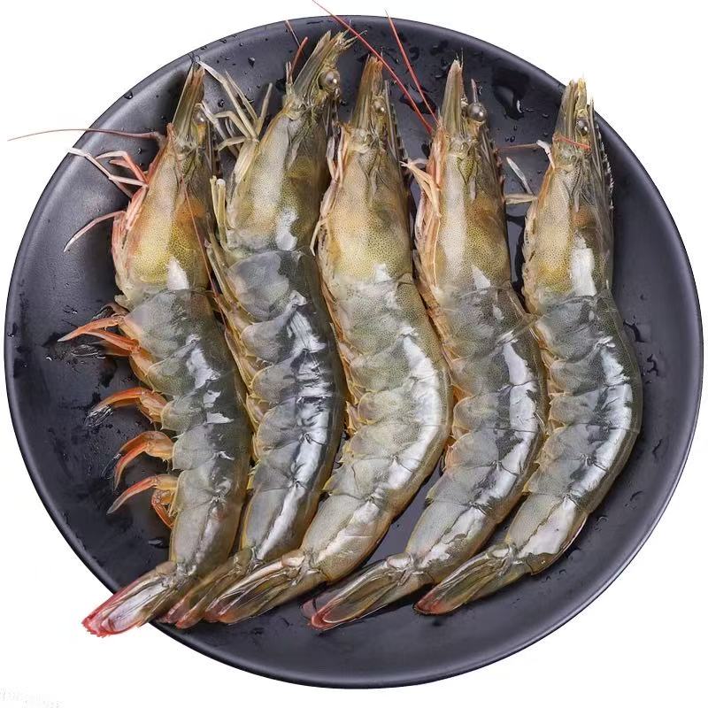 海水大虾3斤 20只左右/斤  连云港发货