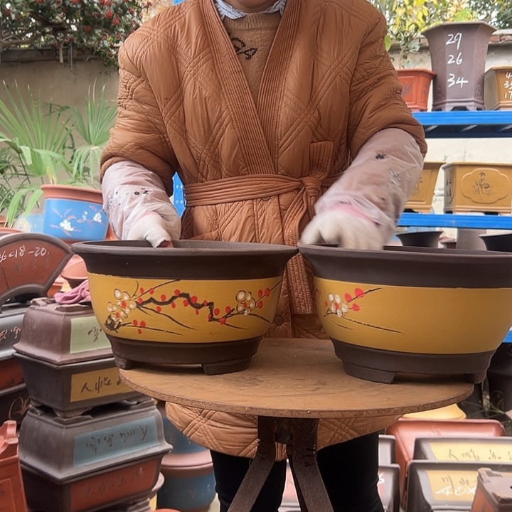 黄色富贵点菜大一对花盆花盆