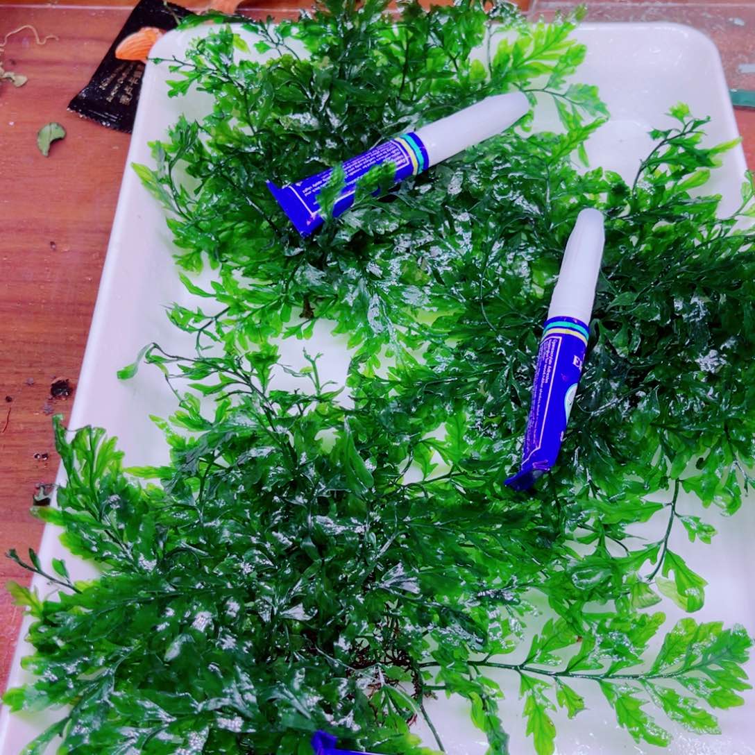 腊***肠美小呆特价套餐一份