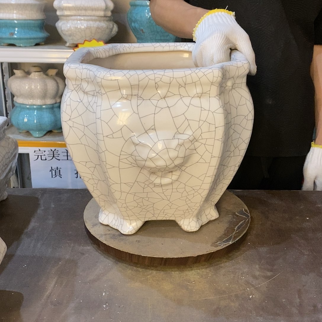 大*瑕疵花盆花盆里的花