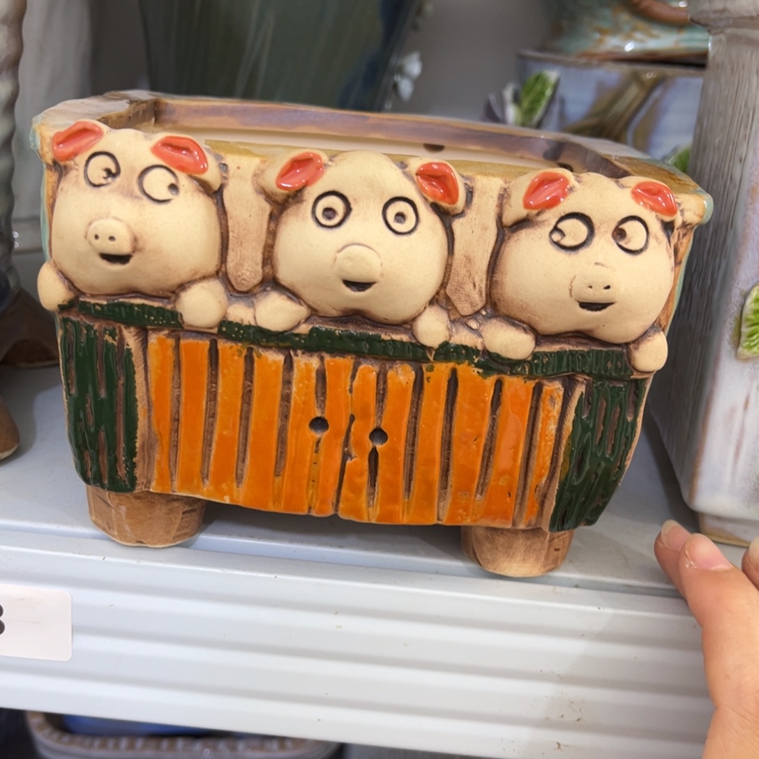 凑满15包邮发货发货