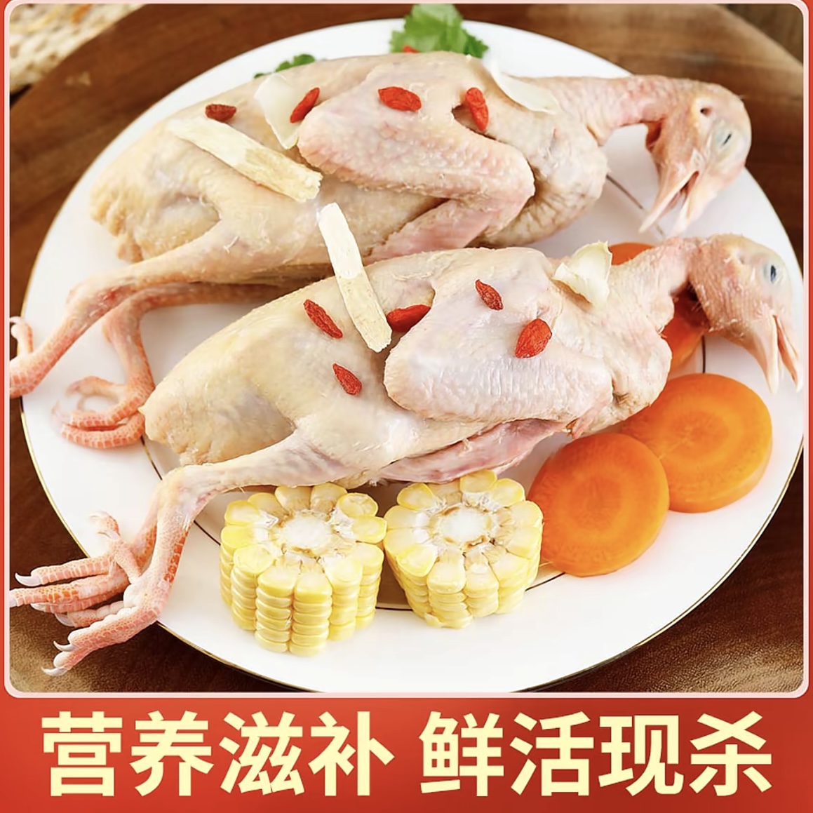  【拍5送1】农家散养土鸽子新鲜现杀 带内脏急冻锁鲜