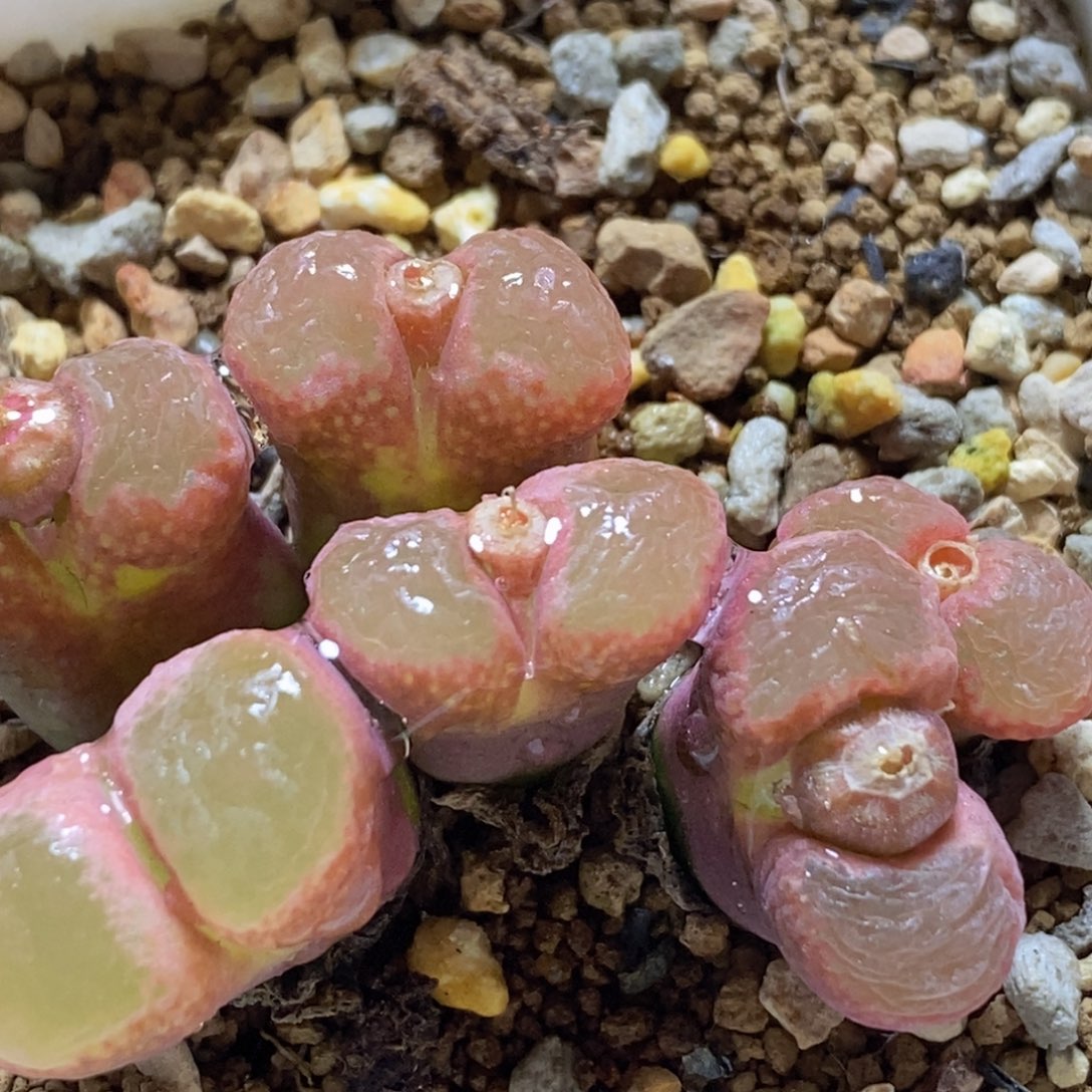 好看好看好看好看好看