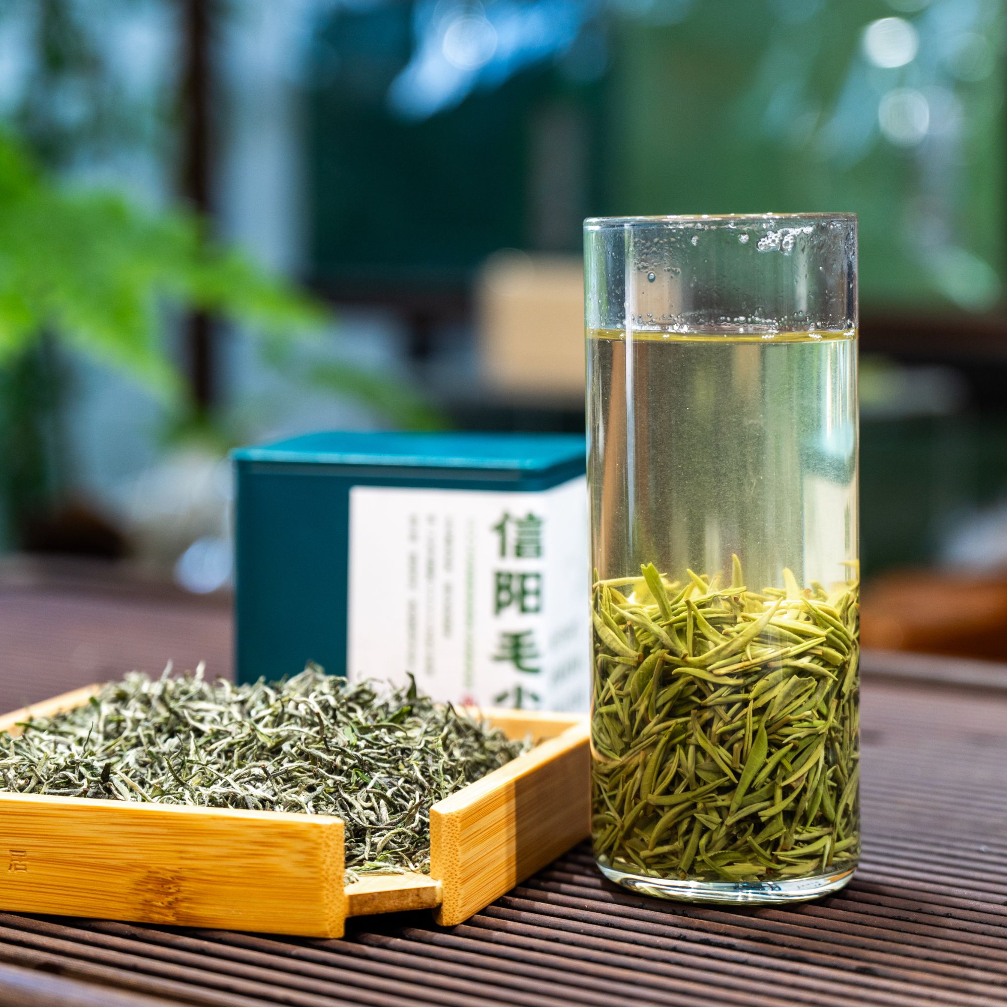 信阳毛尖【谷雨珍品小芽】，50g/500g，自饮送礼佳品