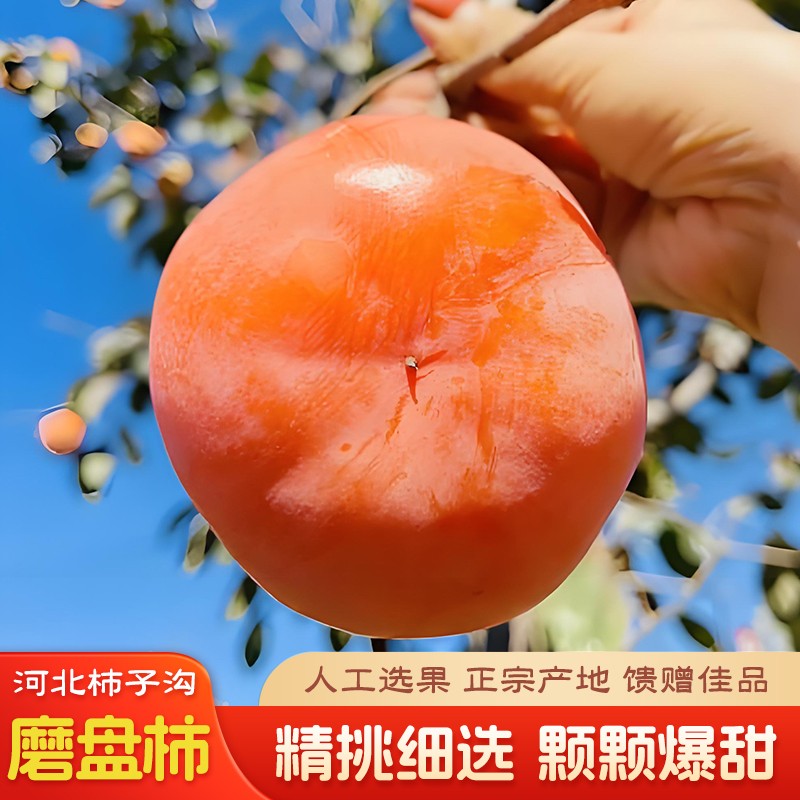 爆款地道产地鲜嫩多汁可批量采购绵软爆汁磨盘柿子大柿子