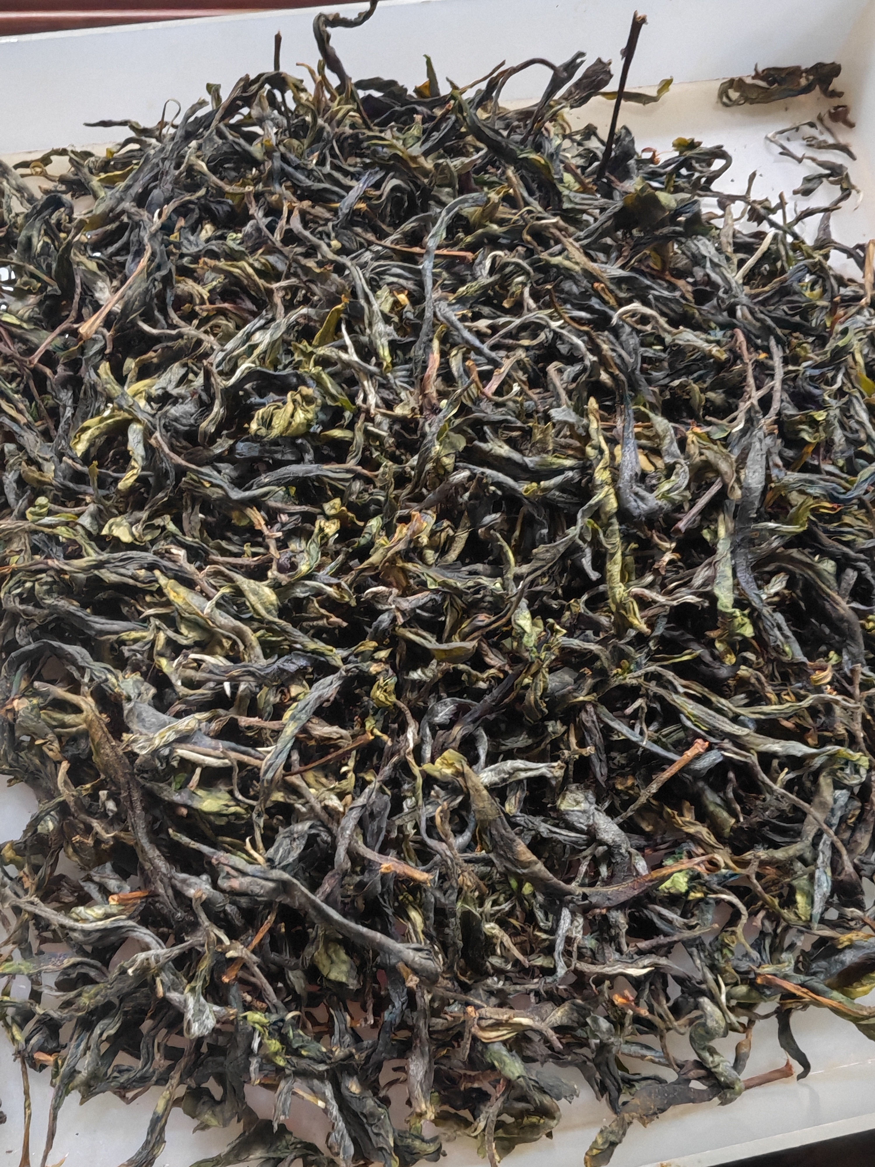 晒青茶（2023年响水河头春古树）