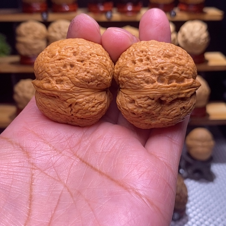 一***提木质类云铁树皮元宝118号