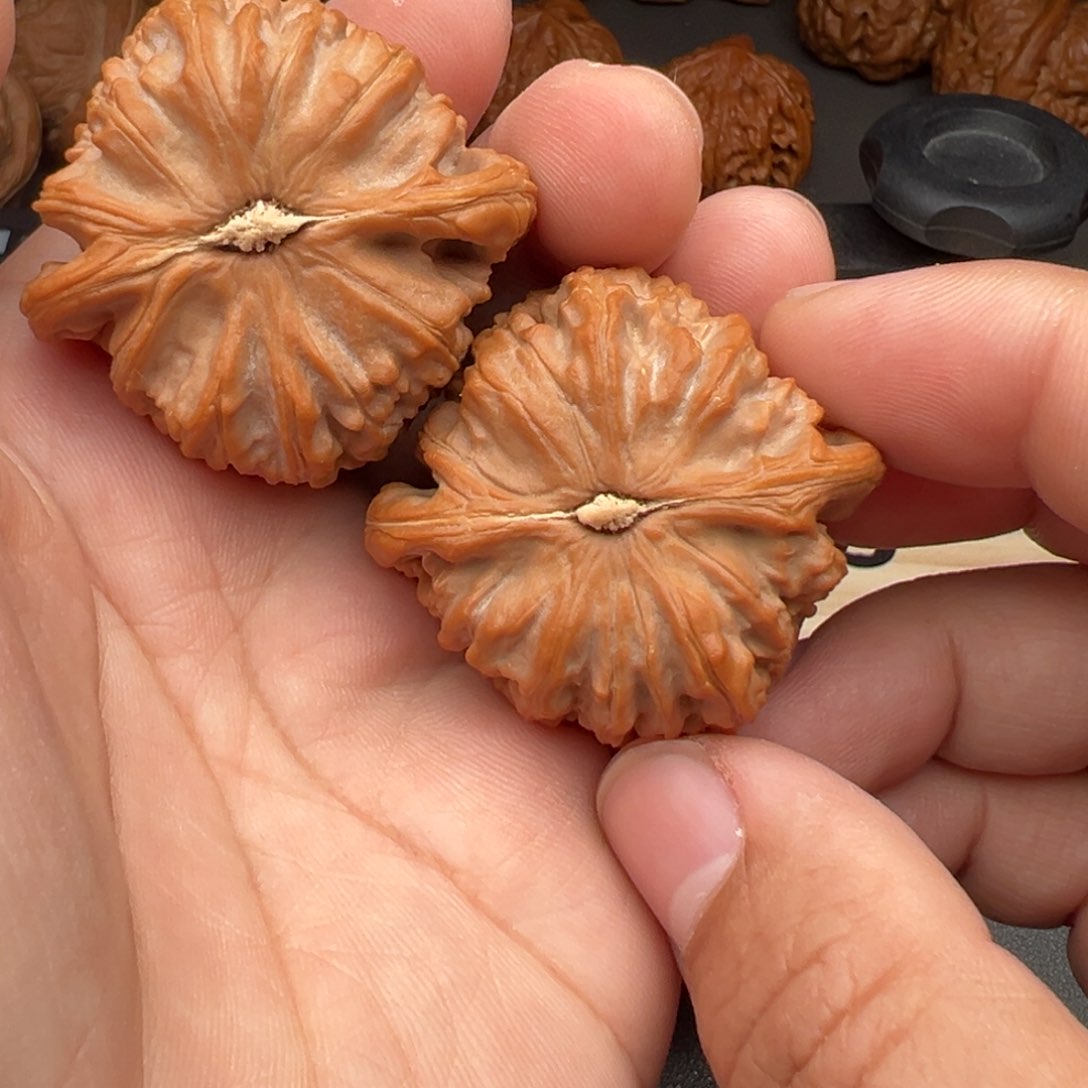 文玩核桃把件溜**达球白41.8