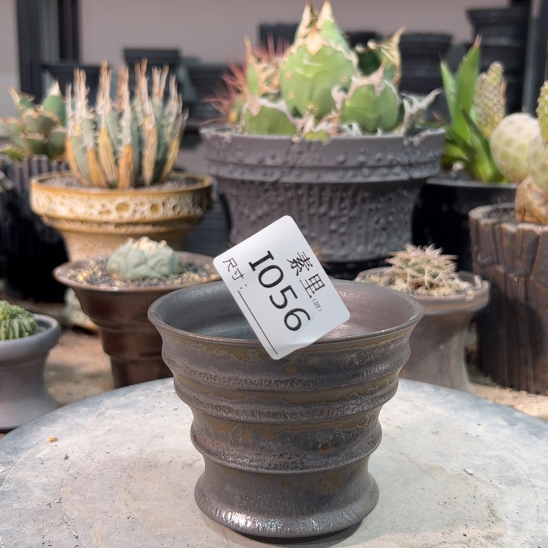 景德镇手工素里没有内口10高8.5