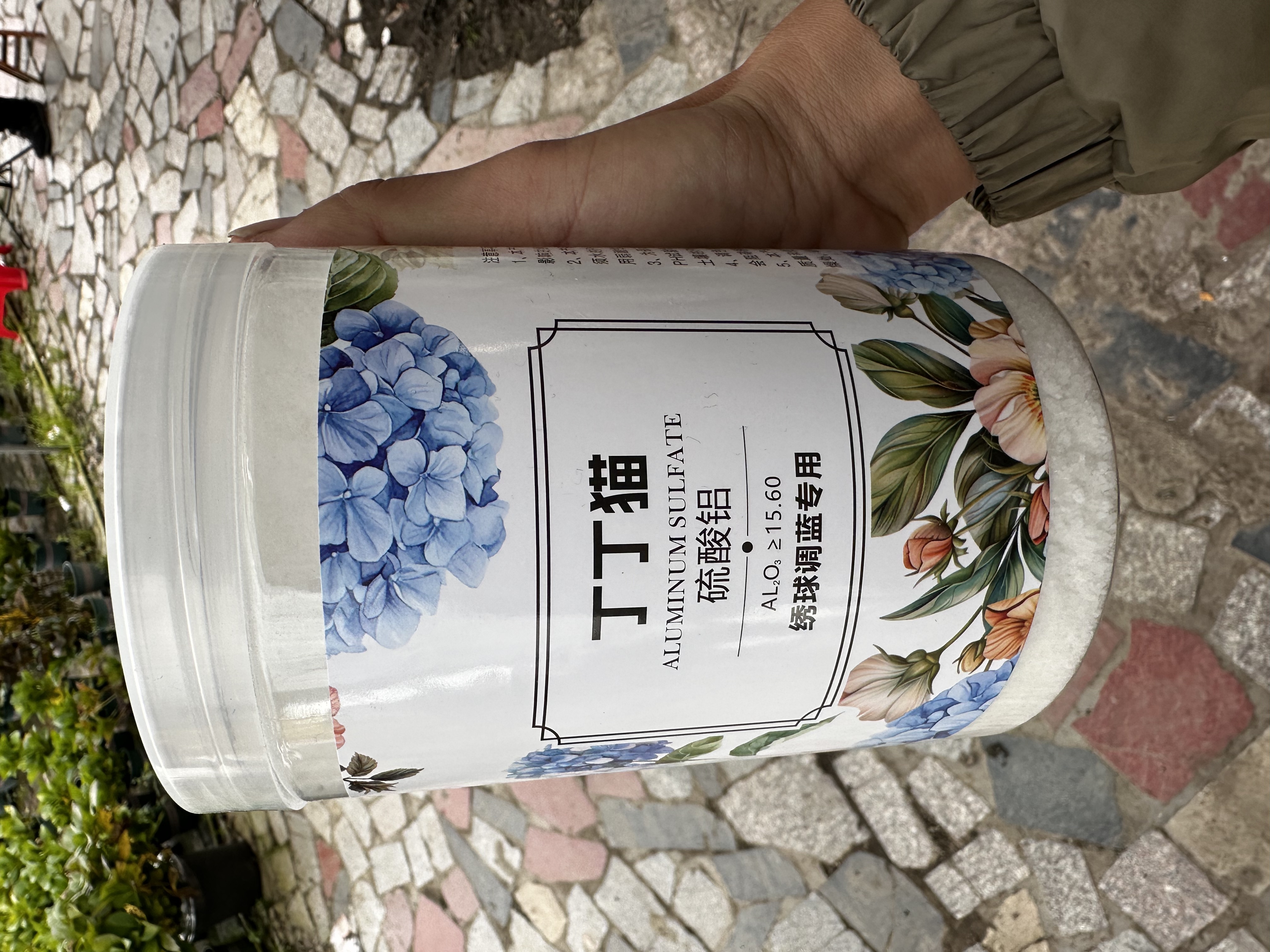 丁丁猫调蓝剂绣球调蓝