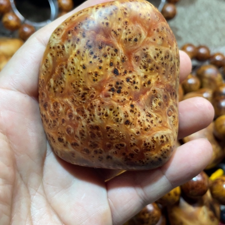 未***期柏木（崖柏）其他把