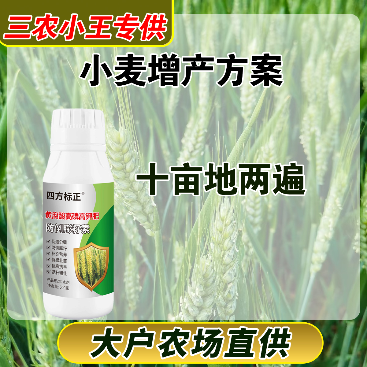小麦十亩地增产方案叶面肥