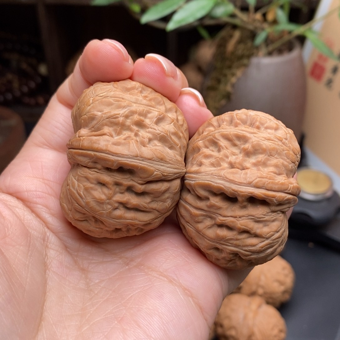 文玩核桃把件45全元宝