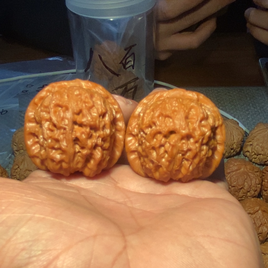 元***意血麒麟。         