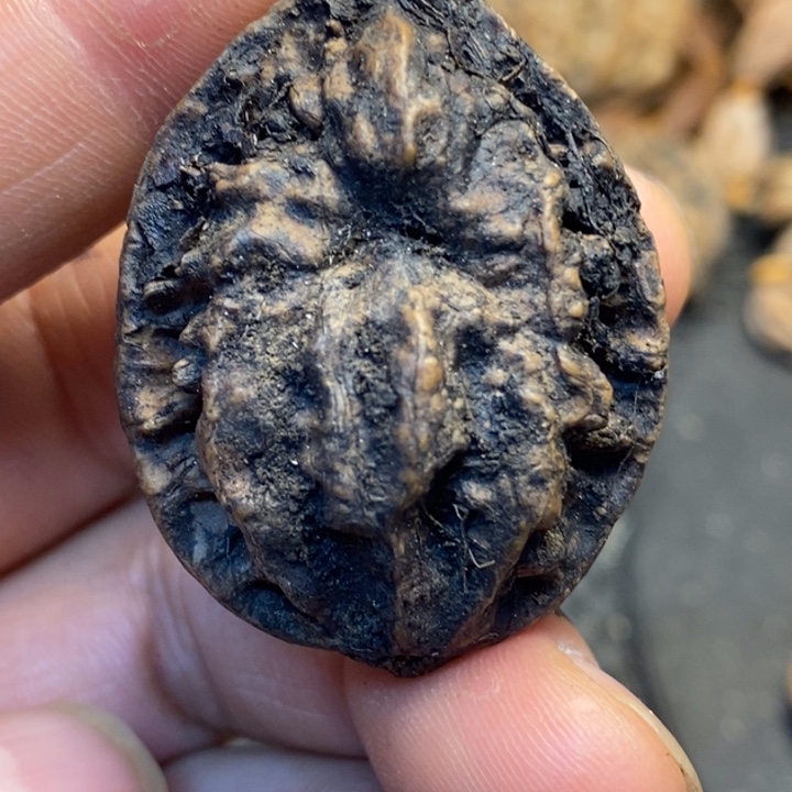 吊坠文玩核桃娜姐59