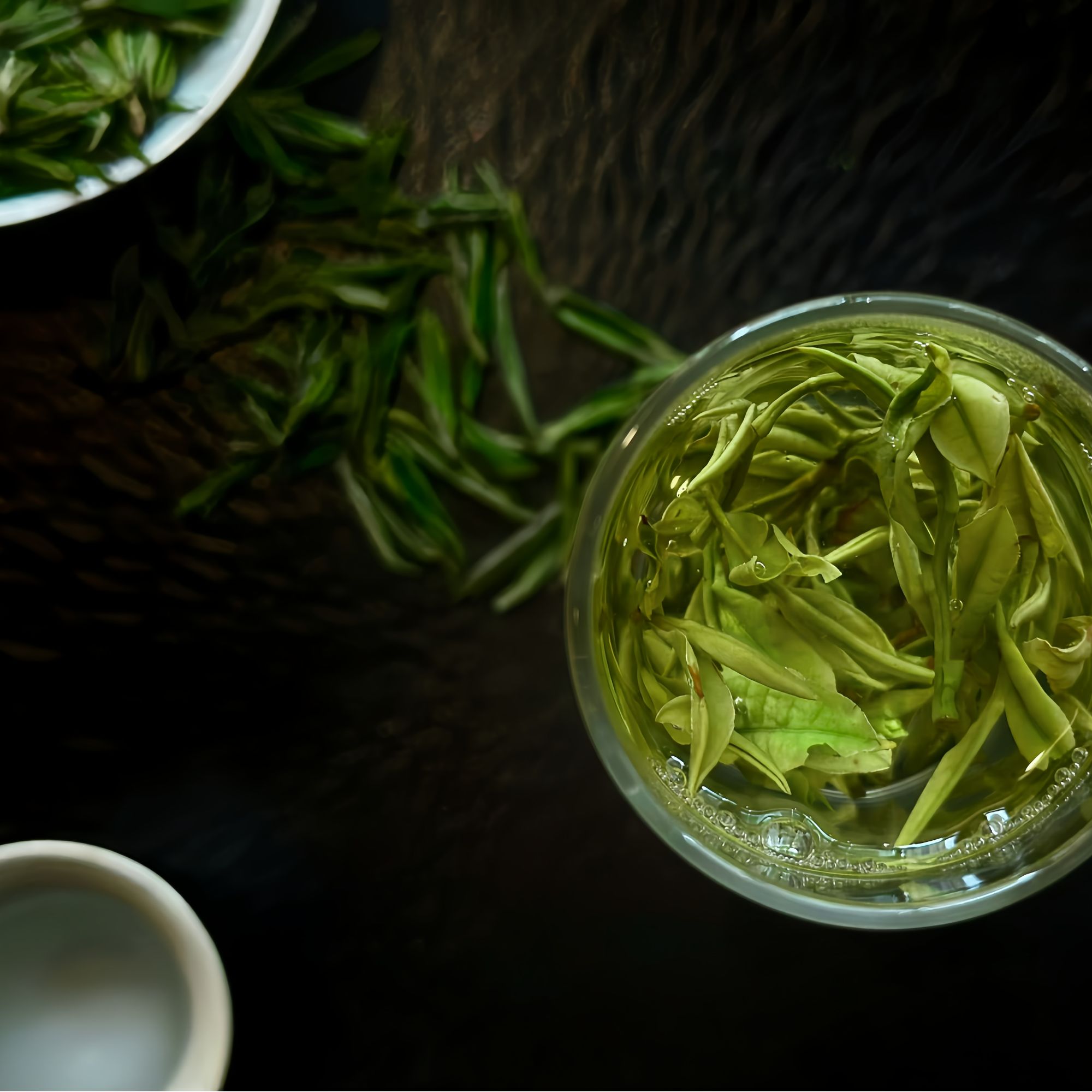 【春茶季】新茶头采嫩芽高山云雾春茶