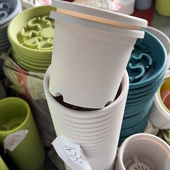 微瑕2#灰白12个无托