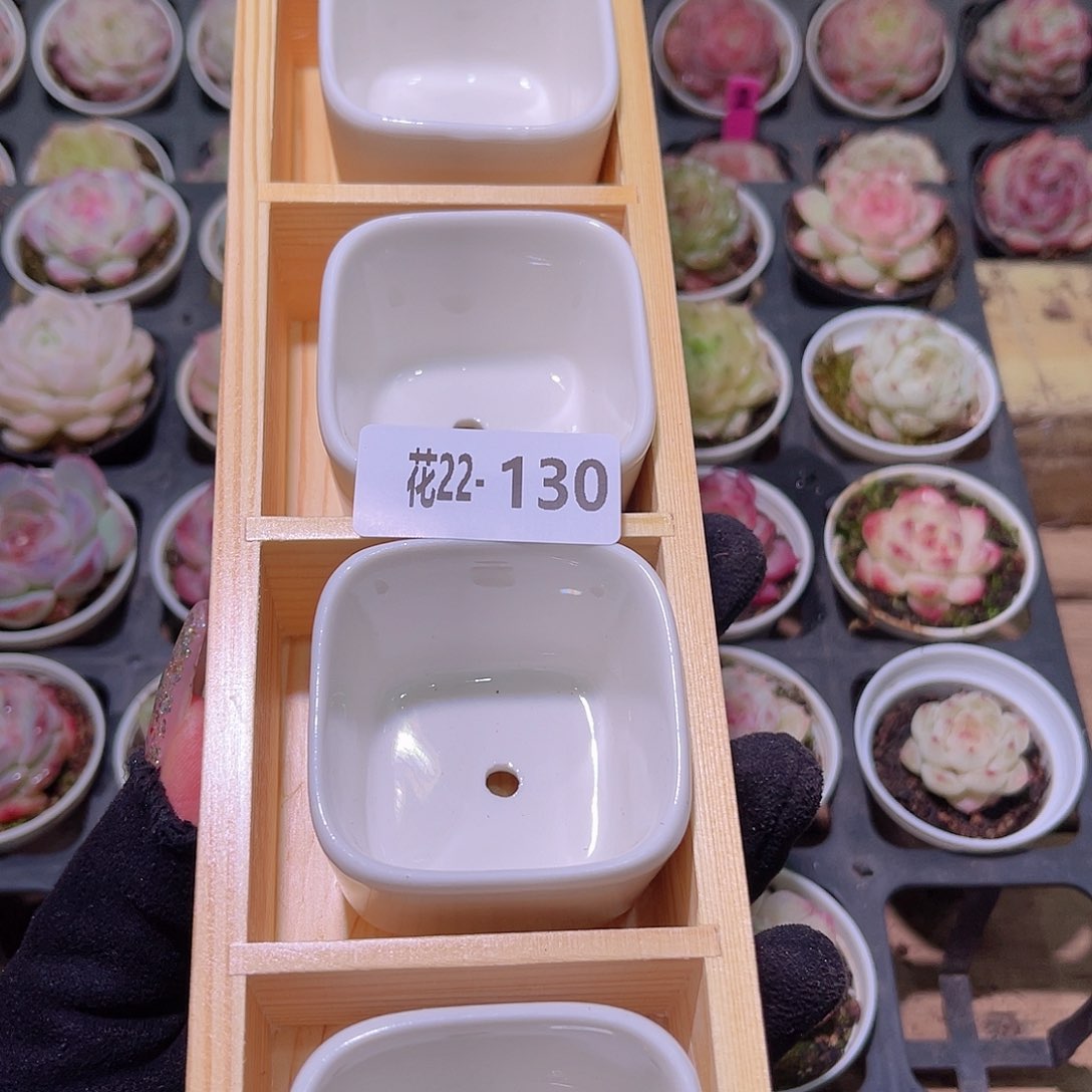 花利美22-130花盆