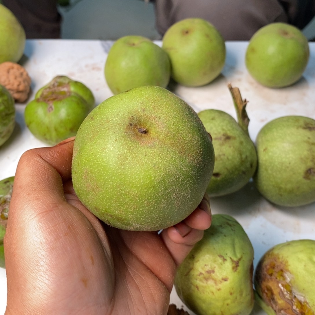 悟***、核桃把件野牛青皮