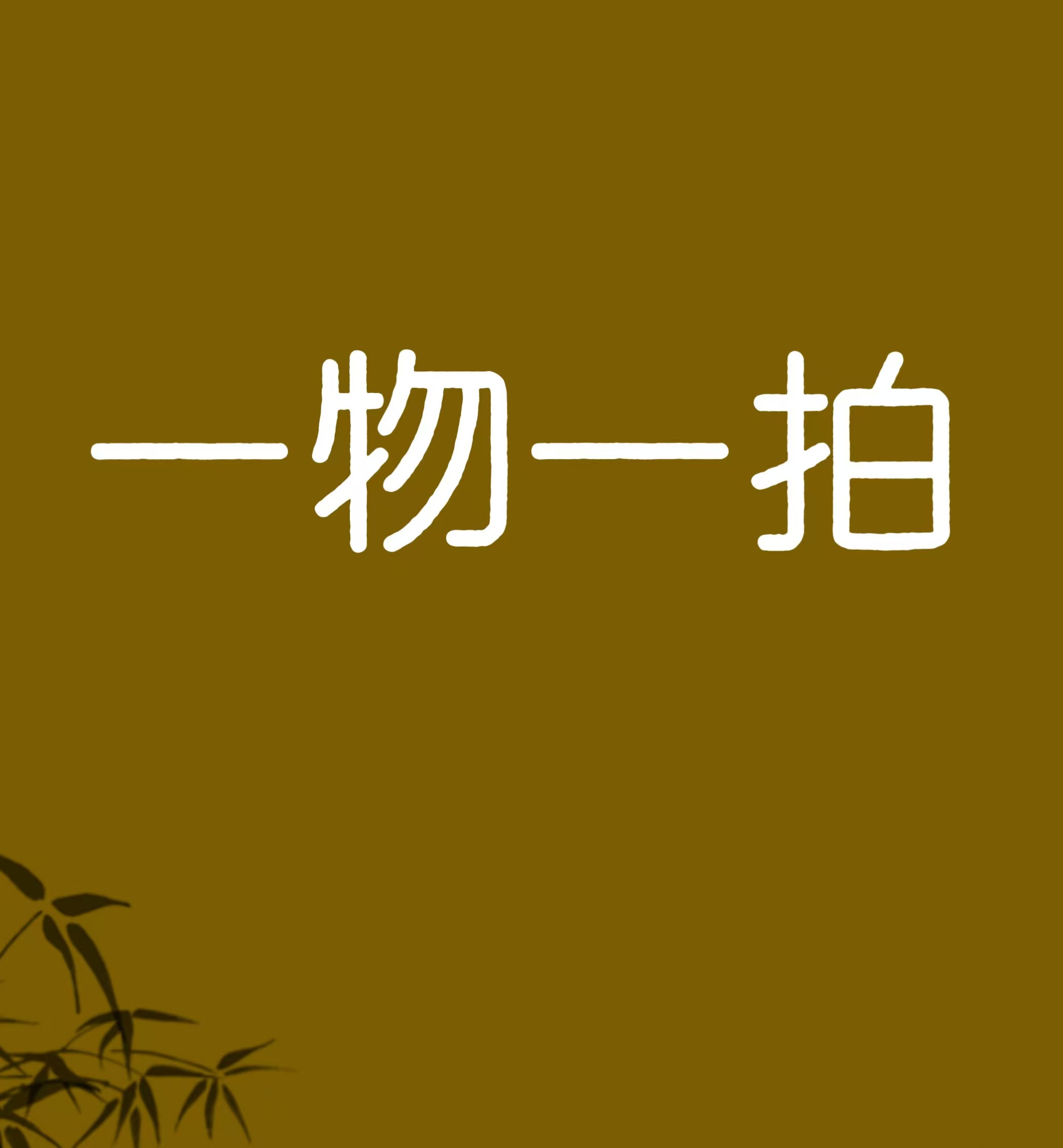 不带盆直播间一物一拍鲜活网红绿植大型绿植主播展示款链接