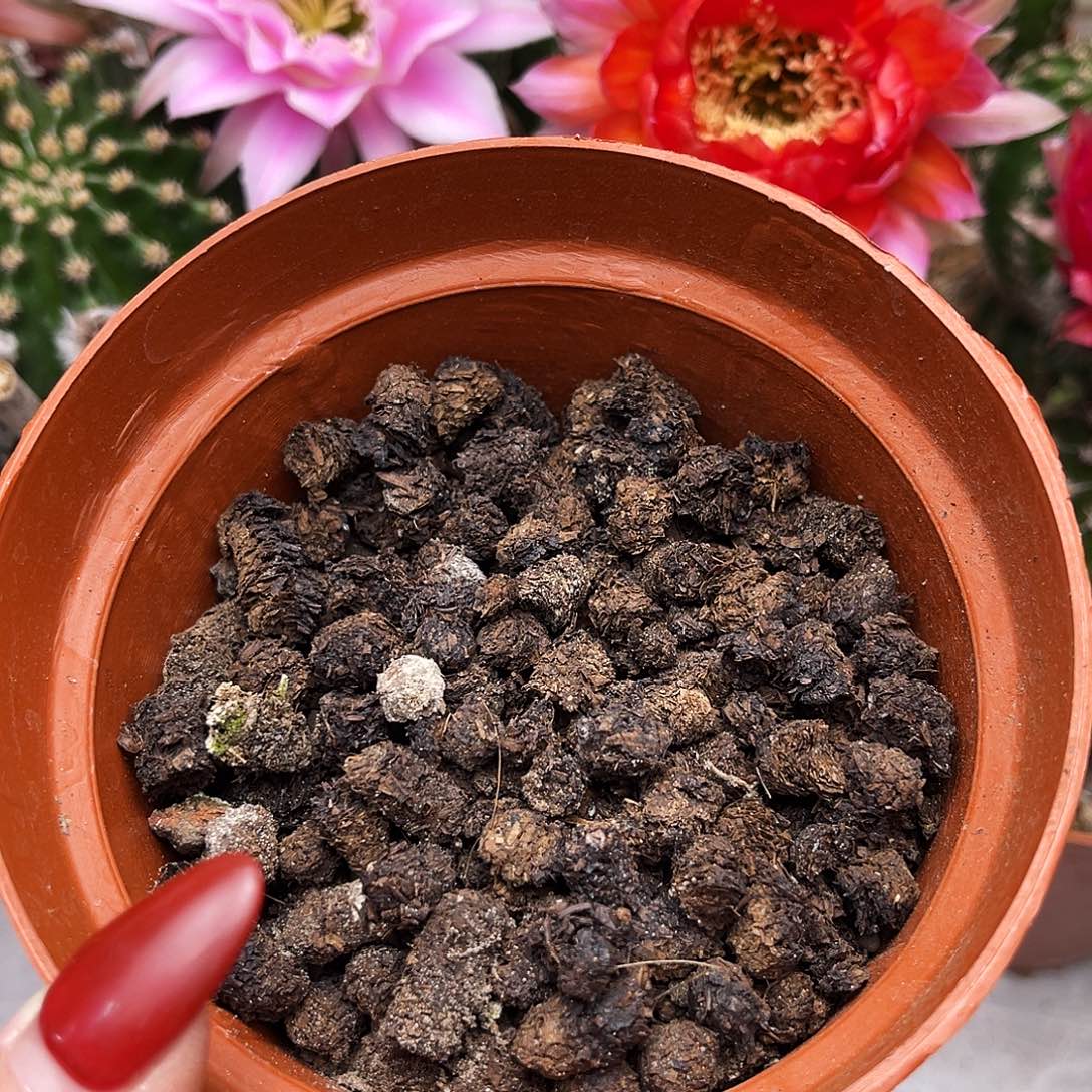 仙人球专用肥20米3斤