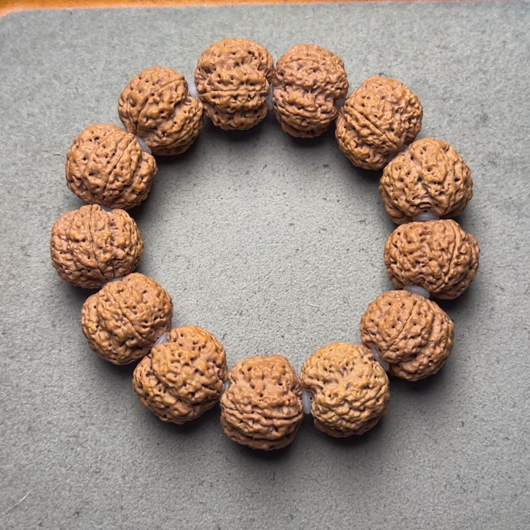 菩提14号金刚菩提蜂王23+