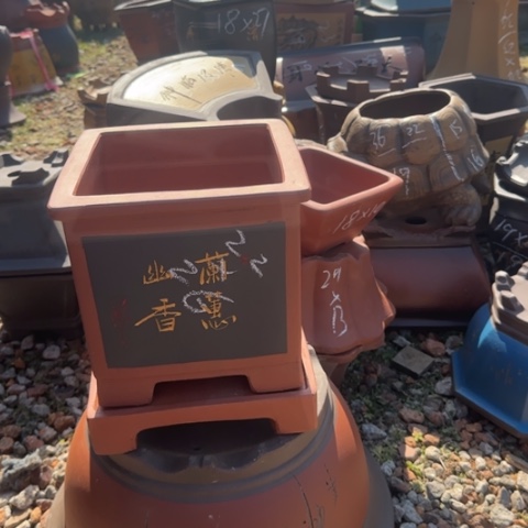 紫砂花盆紫砂花盆盆景盆栽