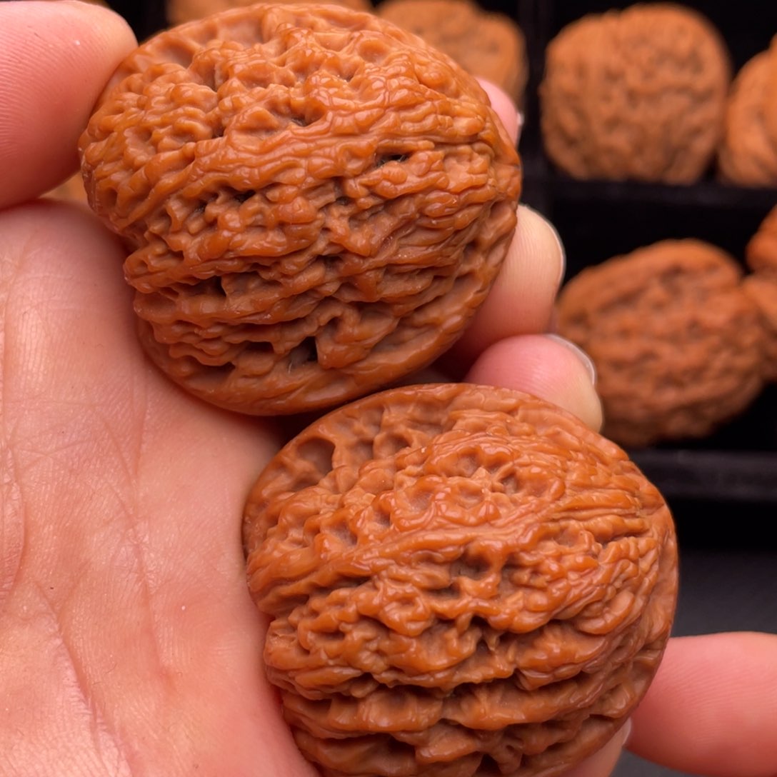 文玩核桃把件秦岭野生核桃