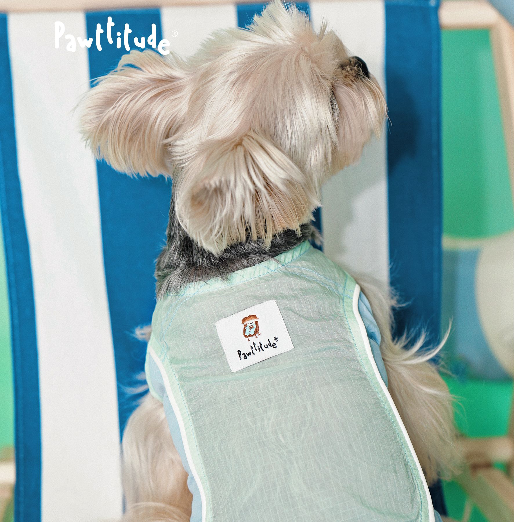 Pawttitude夏日冲浪背心轻薄透气凉感雪纳瑞比熊泰迪凉凉衣蓝绿色