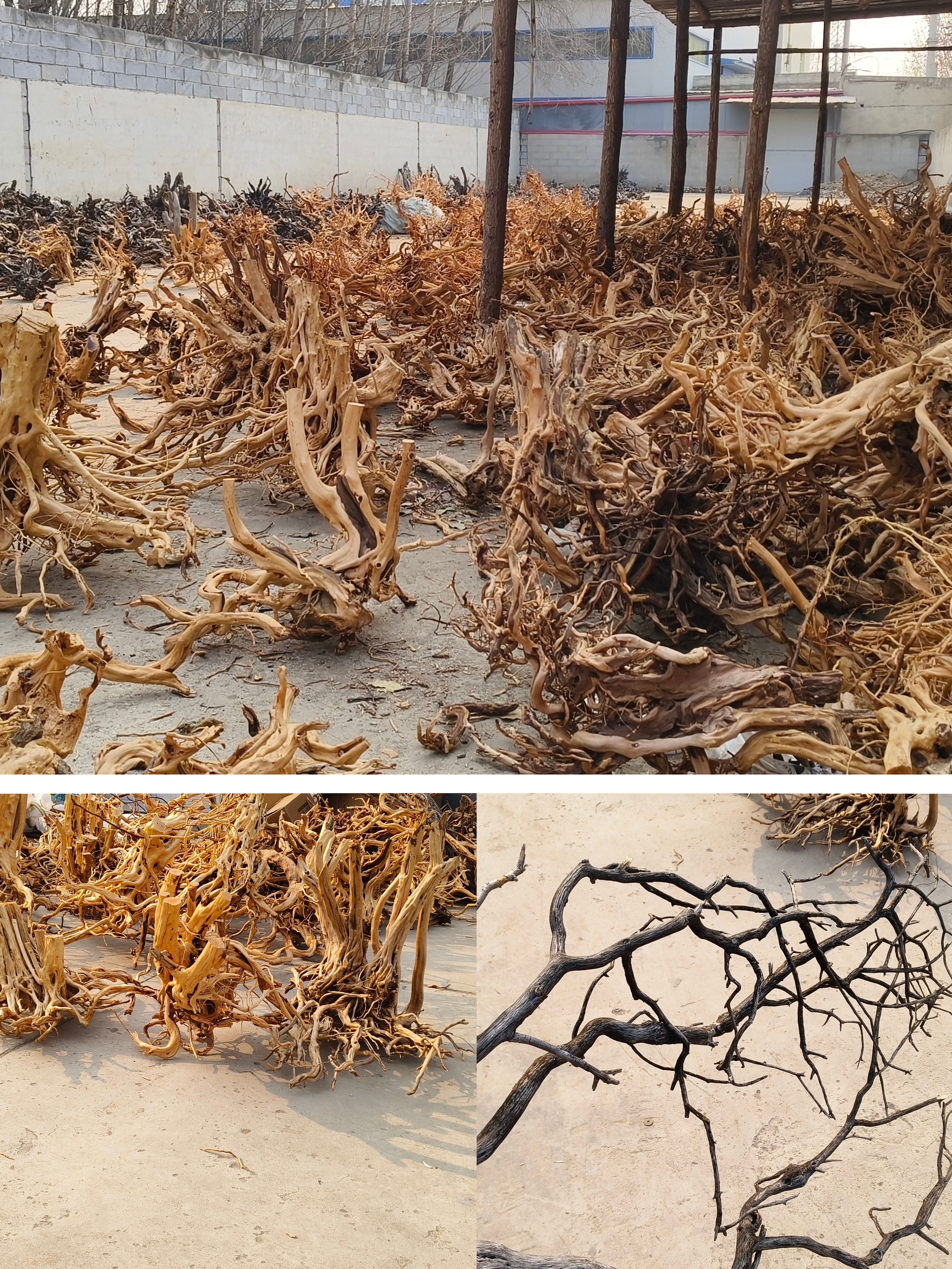 A1养宠装备鱼缸造景一木成景杜鹃根栖根实木  100以下