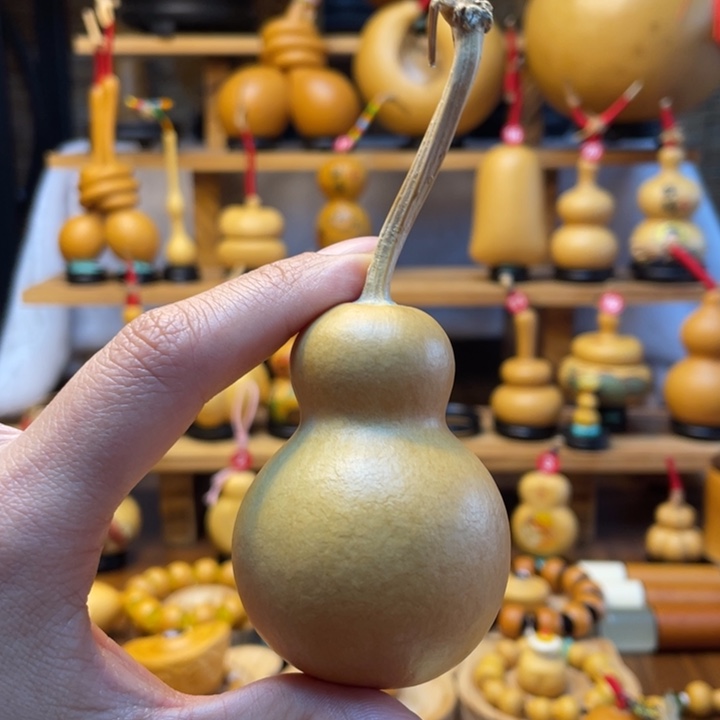 配*天然葫芦自然生长