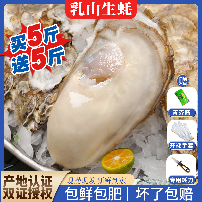 【10XL 超级巨无霸】5斤送5斤正宗乳山生蚝原产地新鲜精品级海蛎子