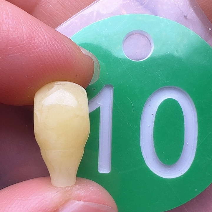 蜜蜡裸石未镶嵌7.7m m