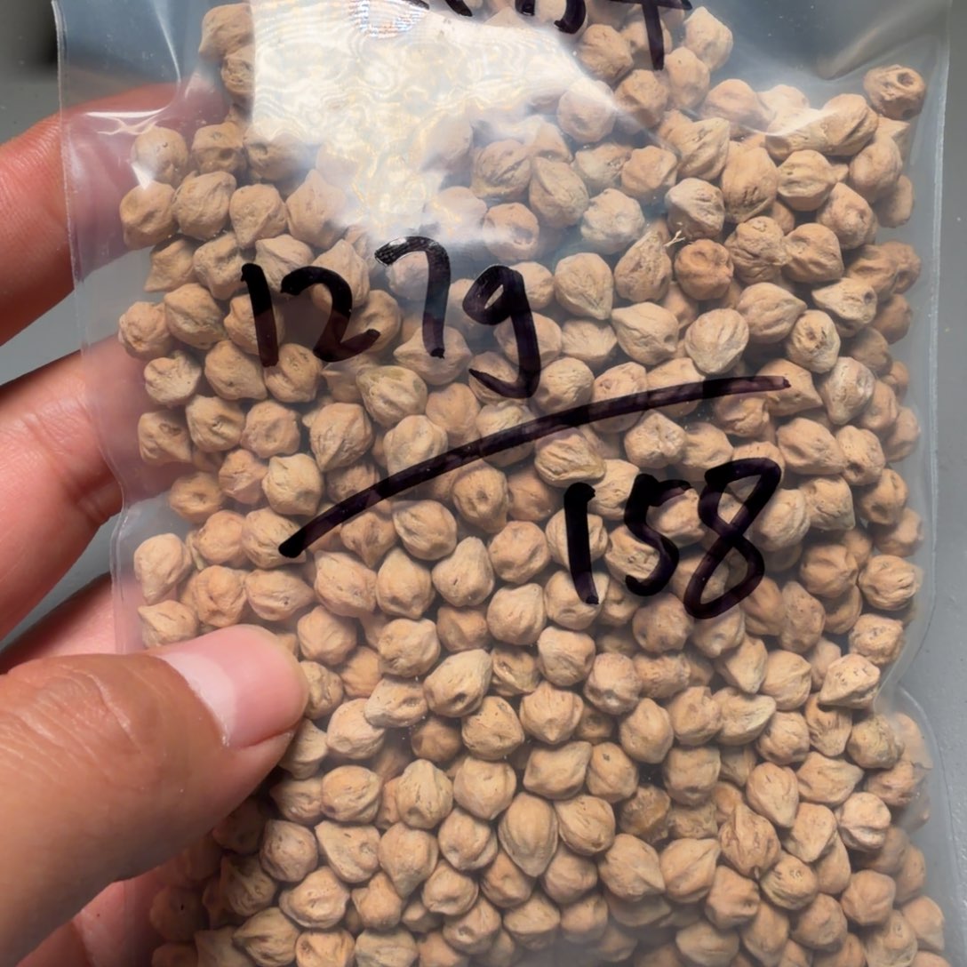 吊坠柏香籽/百香籽时****待