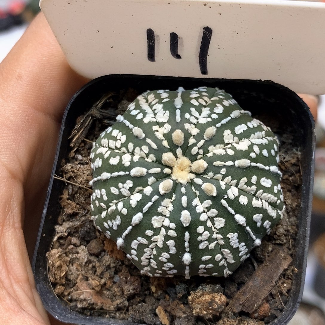 111福利特价来了哦亲